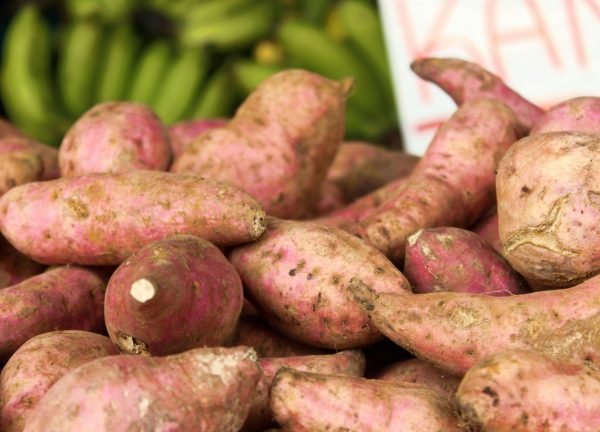 Close-up of freshly harvested sweet potatoes at a market, showcasing their natural textures.